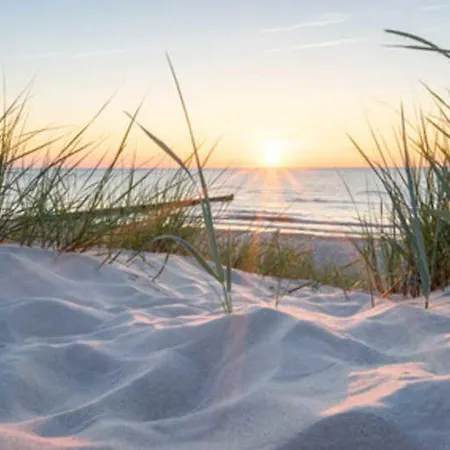 Reethaus Am Meer Insel Ruegen Sant * غلوفي