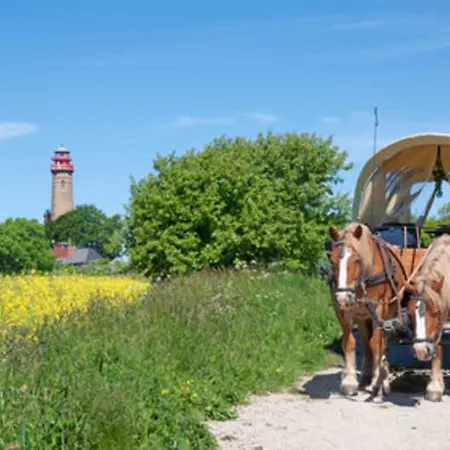 Reethaus Am Meer Insel Ruegen Sant * غلوفي