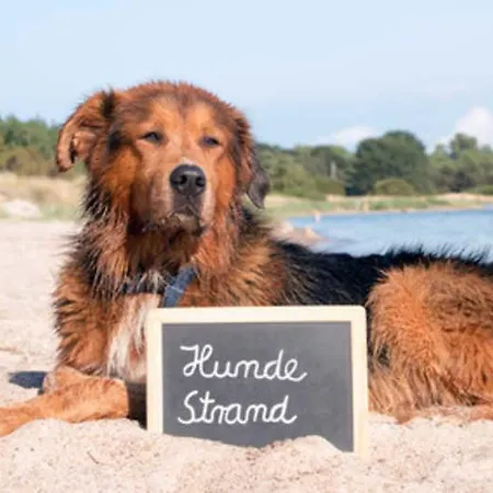 Reethaus Am Meer Insel Ruegen Sant * غلوفي