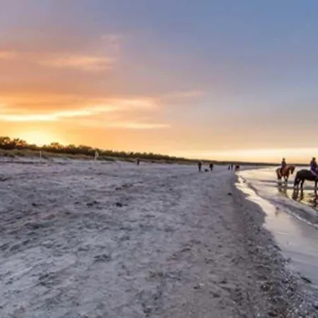 Reethaus Am Meer Insel Ruegen Sant بيت للعطل *